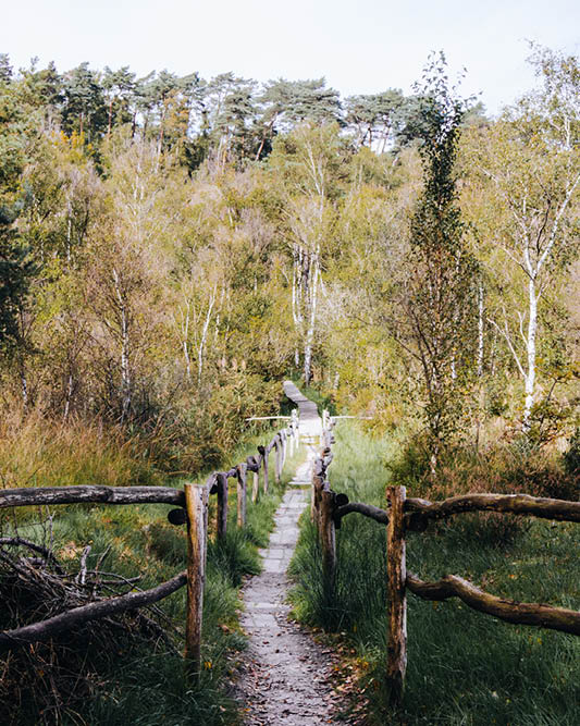 PAARSEROUTE.jpg