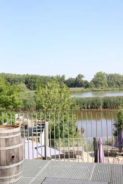 Rubbens_sfeerbeeld-Schelde2.webp