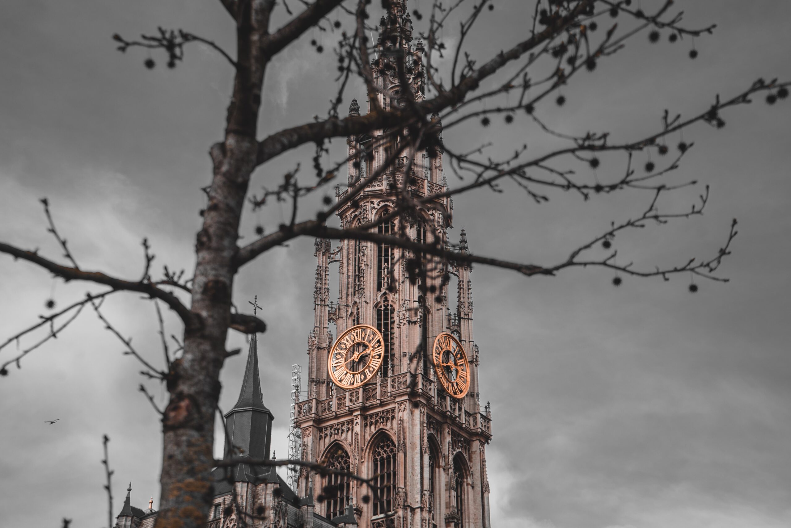 jonas-jaeken-1428307-unsplash-scaled-1.jpg
