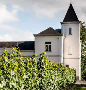 kasteel2-289x300-1.jpg